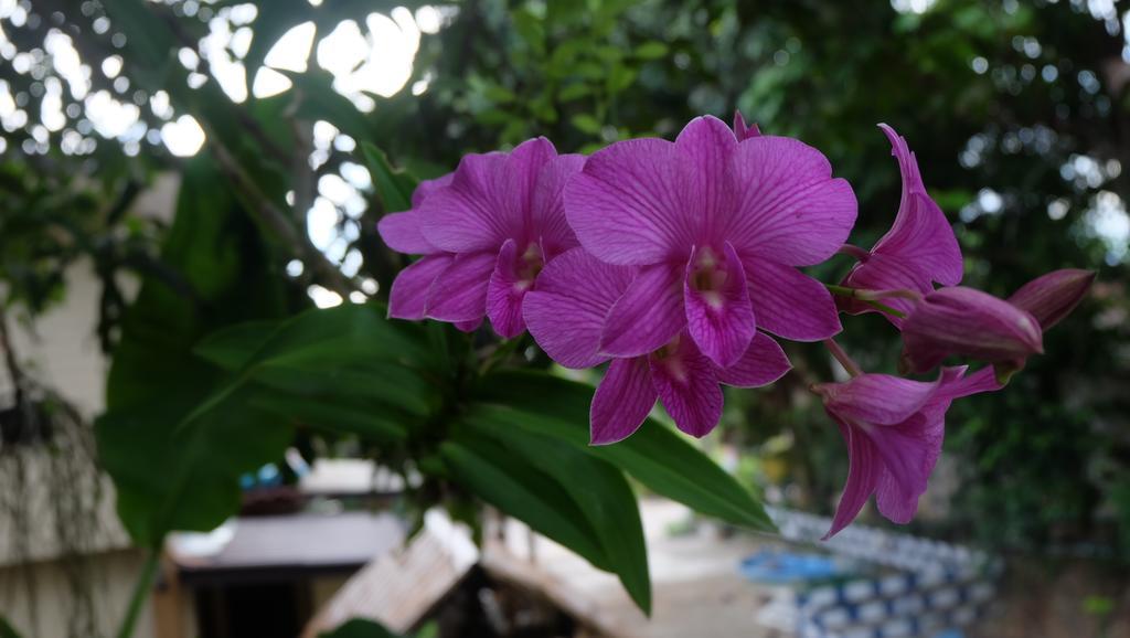 Captan Home Haad Chao Phao Buitenkant foto