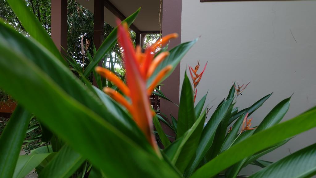 Captan Home Haad Chao Phao Buitenkant foto